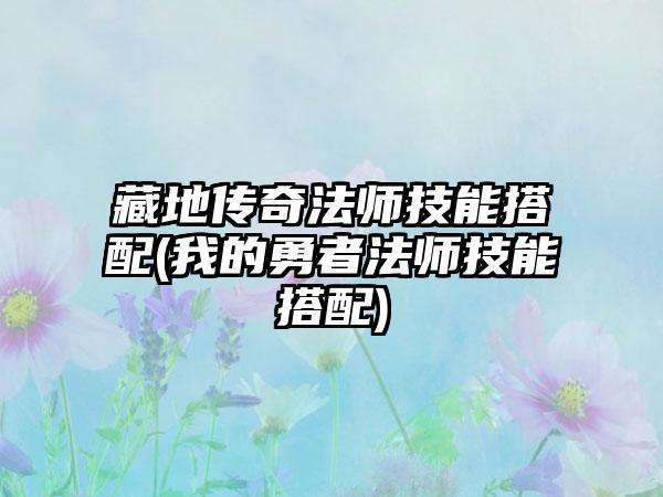藏地传奇法师技能搭配(我的勇者法师技能搭配)