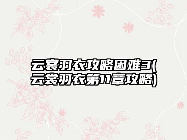 云裳羽衣攻略困难3(云裳羽衣第11章攻略)