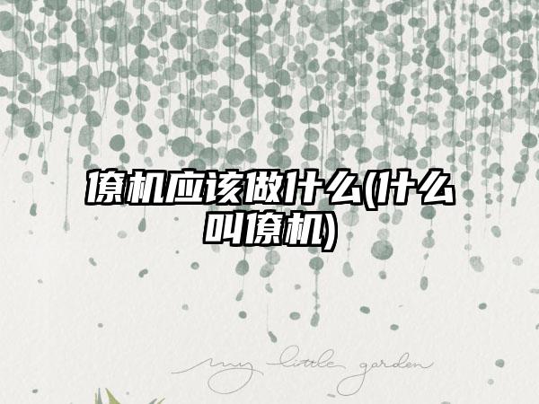 僚机应该做什么(什么叫僚机)