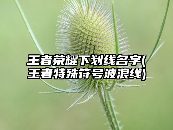 王者荣耀下划线名字(王者特殊符号波浪线)