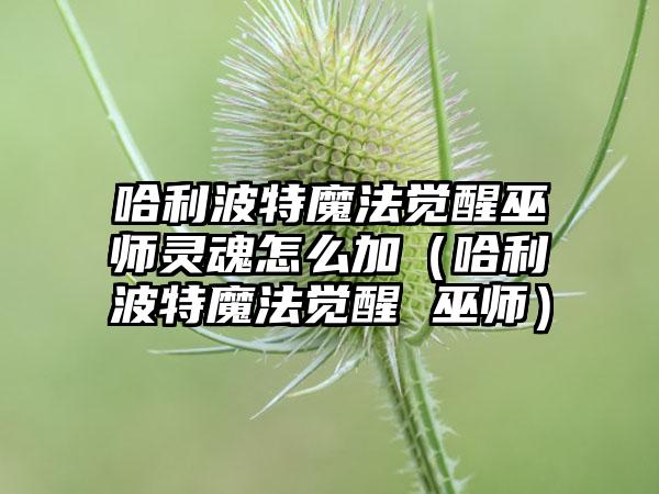 哈利波特魔法觉醒巫师灵魂怎么加（哈利波特魔法觉醒 巫师）