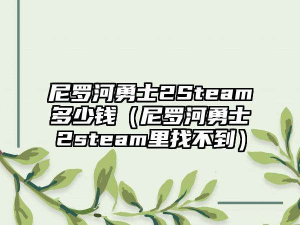 尼罗河勇士2Steam多少钱（尼罗河勇士2steam里找不到）