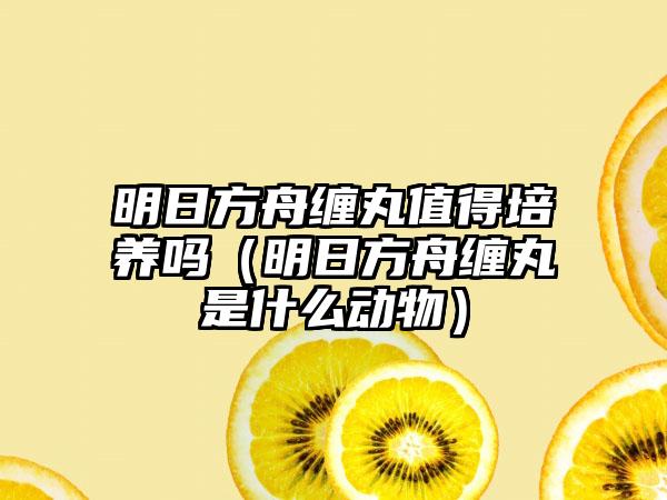 明日方舟缠丸值得培养吗（明日方舟缠丸是什么动物）