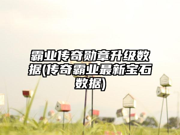 霸业传奇勋章升级数据(传奇霸业最新宝石数据)