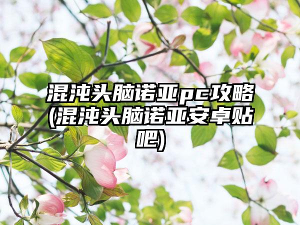 混沌头脑诺亚pc攻略(混沌头脑诺亚安卓贴吧)
