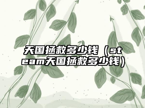 天国拯救多少钱（steam天国拯救多少钱）