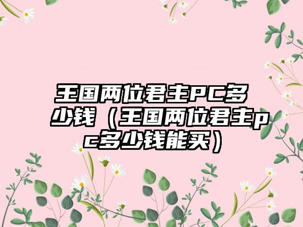 王国两位君主PC多少钱（王国两位君主pc多少钱能买）