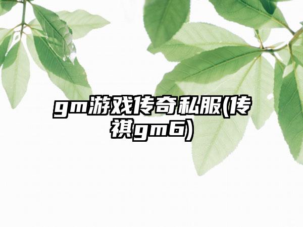 gm游戏传奇私服(传祺gm6)