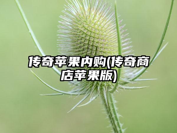 传奇苹果内购(传奇商店苹果版)