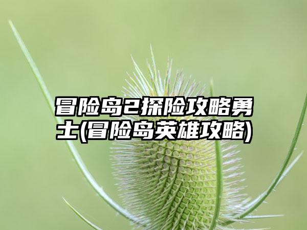 冒险岛2探险攻略勇士(冒险岛英雄攻略)