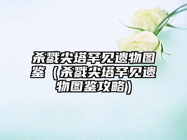 杀戮尖塔罕见遗物图鉴（杀戮尖塔罕见遗物图鉴攻略）