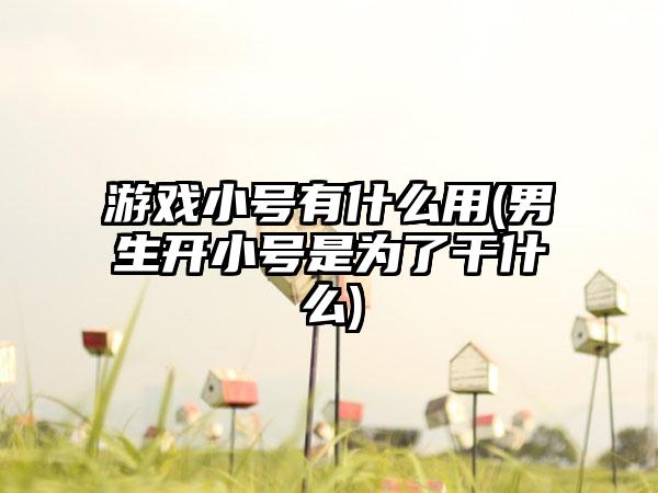 游戏小号有什么用(男生开小号是为了干什么)