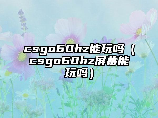 csgo60hz能玩吗（csgo60hz屏幕能玩吗）