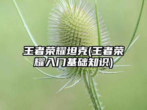 王者荣耀坦克(王者荣耀入门基础知识)