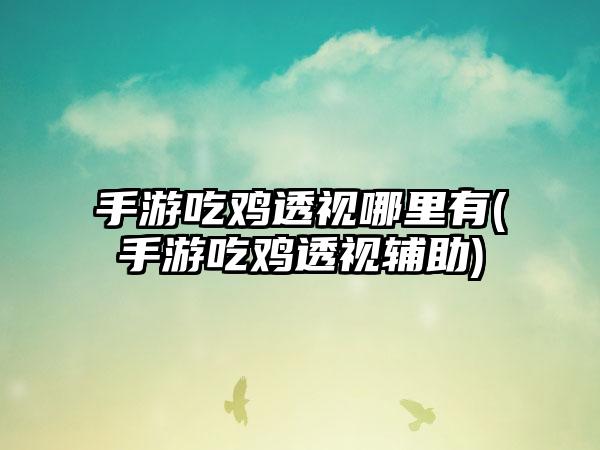 手游吃鸡透视哪里有(手游吃鸡透视辅助)