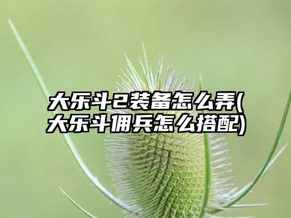 大乐斗2装备怎么弄(大乐斗佣兵怎么搭配)