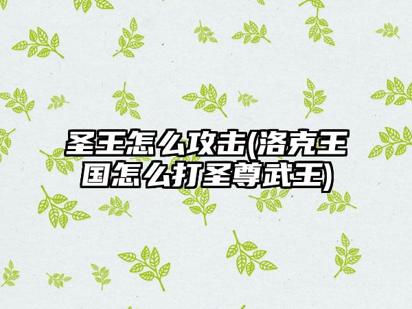 圣王怎么攻击(洛克王国怎么打圣尊武王)