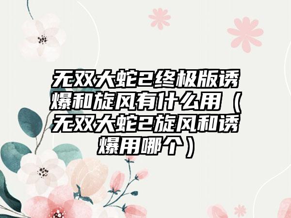 无双大蛇2终极版诱爆和旋风有什么用（无双大蛇2旋风和诱爆用哪个）