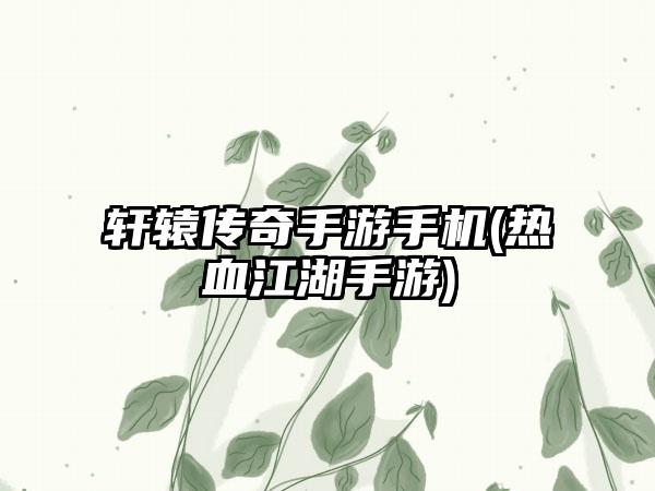 轩辕传奇手游手机(热血江湖手游)