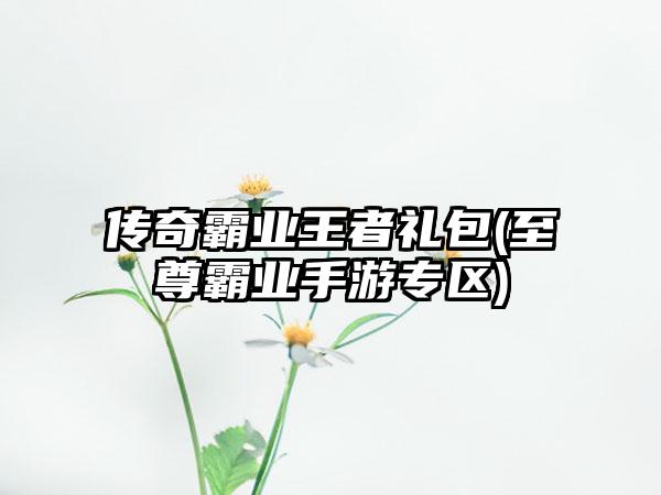 传奇霸业王者礼包(至尊霸业手游专区)