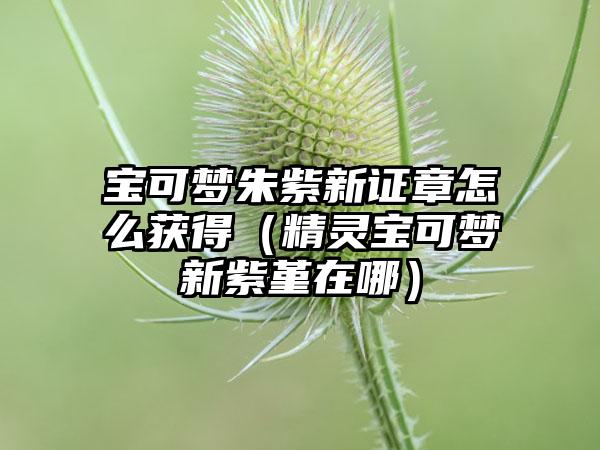 宝可梦朱紫新证章怎么获得（精灵宝可梦新紫堇在哪）