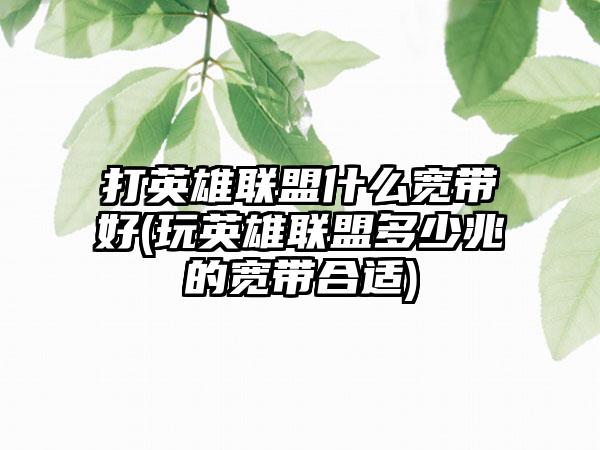 打英雄联盟什么宽带好(玩英雄联盟多少兆的宽带合适)
