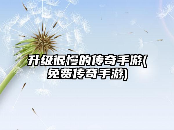 升级很慢的传奇手游(免费传奇手游)