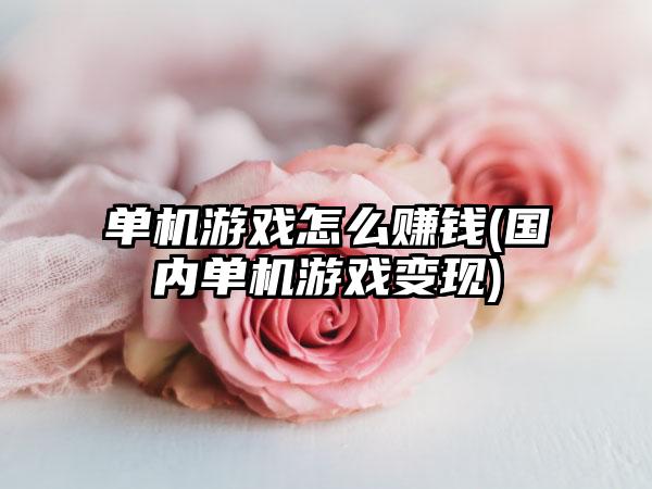 单机游戏怎么赚钱(国内单机游戏变现)
