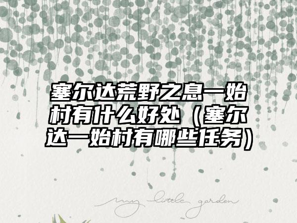 塞尔达荒野之息一始村有什么好处（塞尔达一始村有哪些任务）