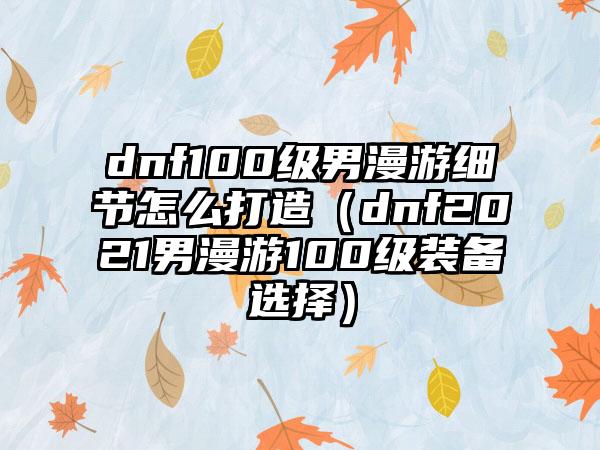 dnf100级男漫游细节怎么打造（dnf2021男漫游100级装备选择）