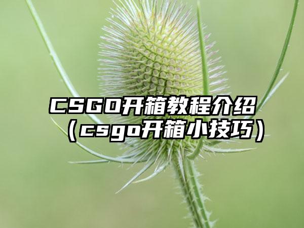 CSGO开箱教程介绍（csgo开箱小技巧）
