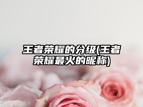 王者荣耀的分级(王者荣耀最火的昵称)