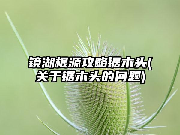 镜湖根源攻略锯木头(关于锯木头的问题)