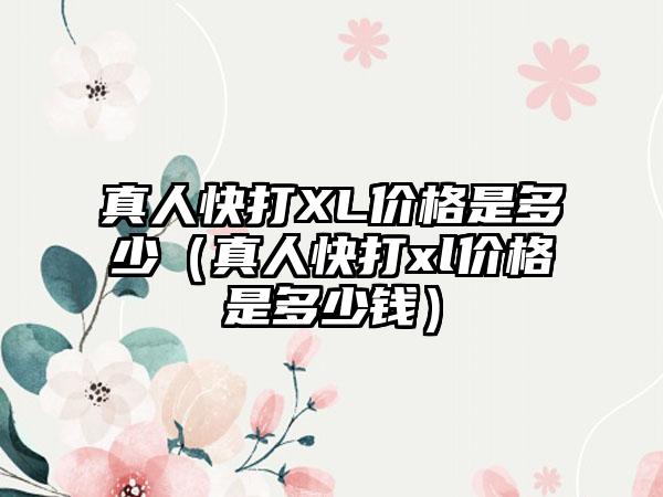 真人快打XL价格是多少（真人快打xl价格是多少钱）