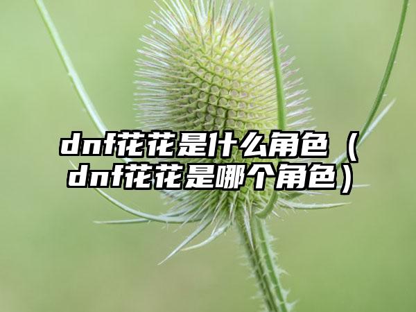 dnf花花是什么角色（dnf花花是哪个角色）