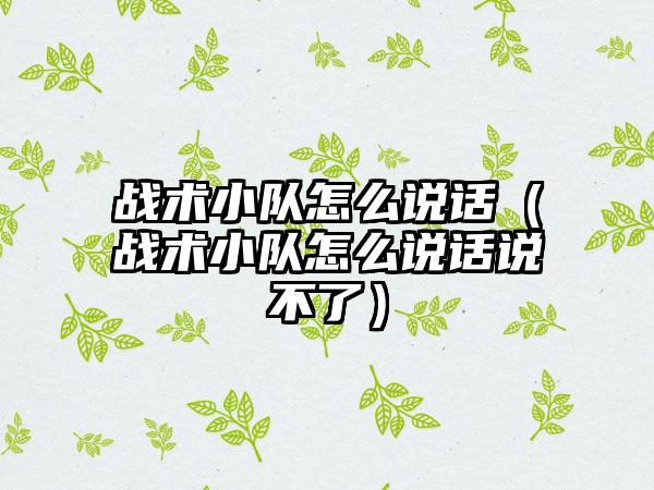 战术小队怎么说话（战术小队怎么说话说不了）