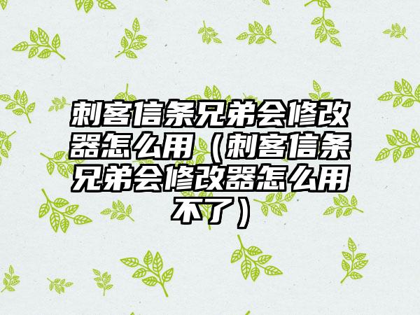 刺客信条兄弟会修改器怎么用（刺客信条兄弟会修改器怎么用不了）