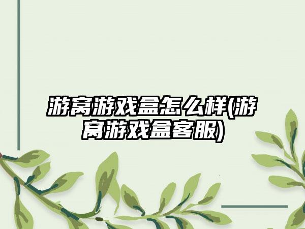 游窝游戏盒怎么样(游窝游戏盒客服)