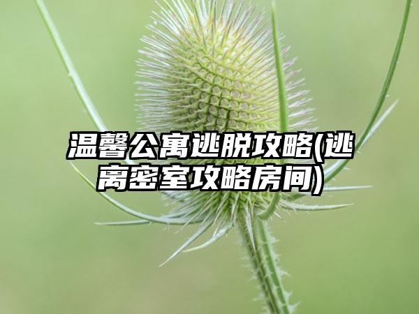 温馨公寓逃脱攻略(逃离密室攻略房间)