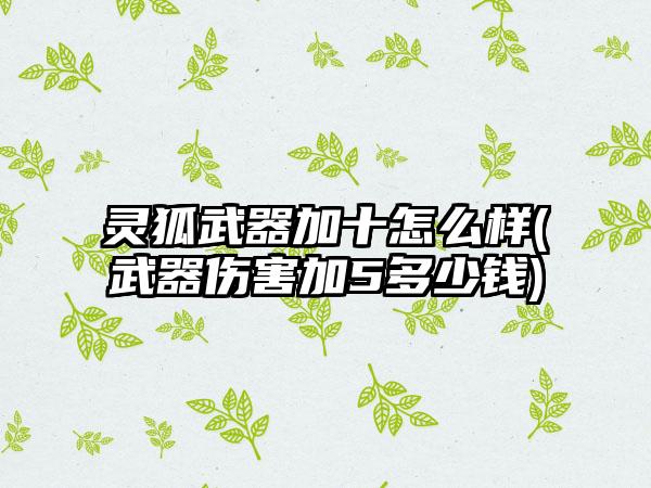 灵狐武器加十怎么样(武器伤害加5多少钱)