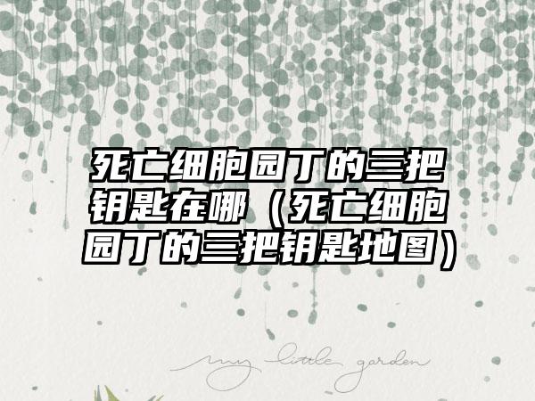 死亡细胞园丁的三把钥匙在哪（死亡细胞园丁的三把钥匙地图）
