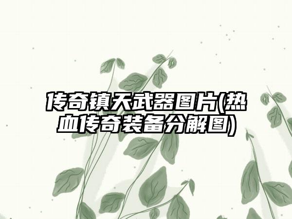 传奇镇天武器图片(热血传奇装备分解图)