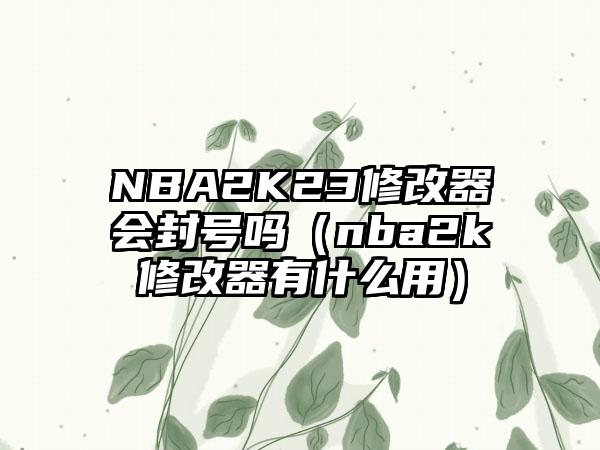 NBA2K23修改器会封号吗（nba2k修改器有什么用）