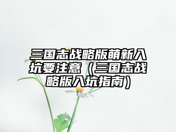 三国志战略版萌新入坑要注意（三国志战略版入坑指南）