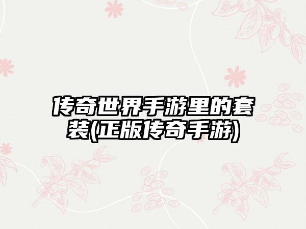 传奇世界手游里的套装(正版传奇手游)