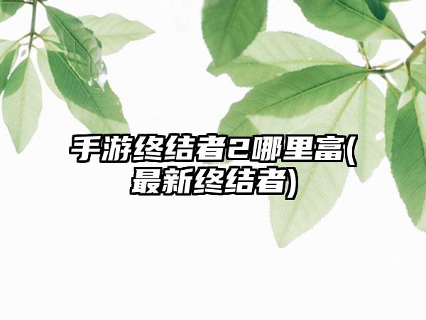 手游终结者2哪里富(最新终结者)