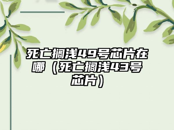 死亡搁浅49号芯片在哪（死亡搁浅43号芯片）