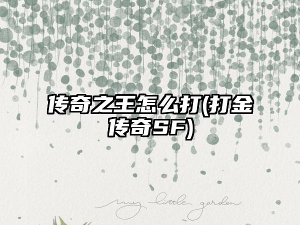 传奇之王怎么打(打金传奇SF)