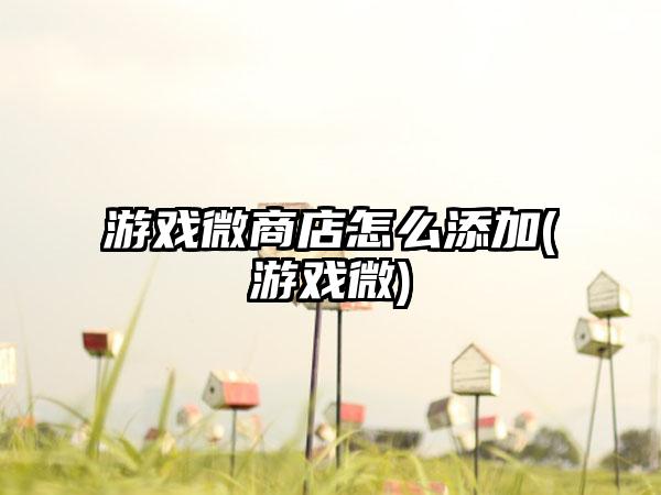 游戏微商店怎么添加(游戏微)