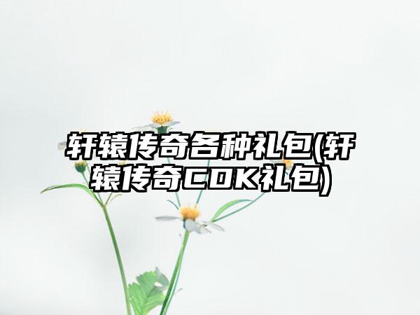 轩辕传奇各种礼包(轩辕传奇CDK礼包)